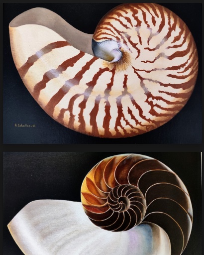 Geometría del abismo: El equilibrio del Nautilus