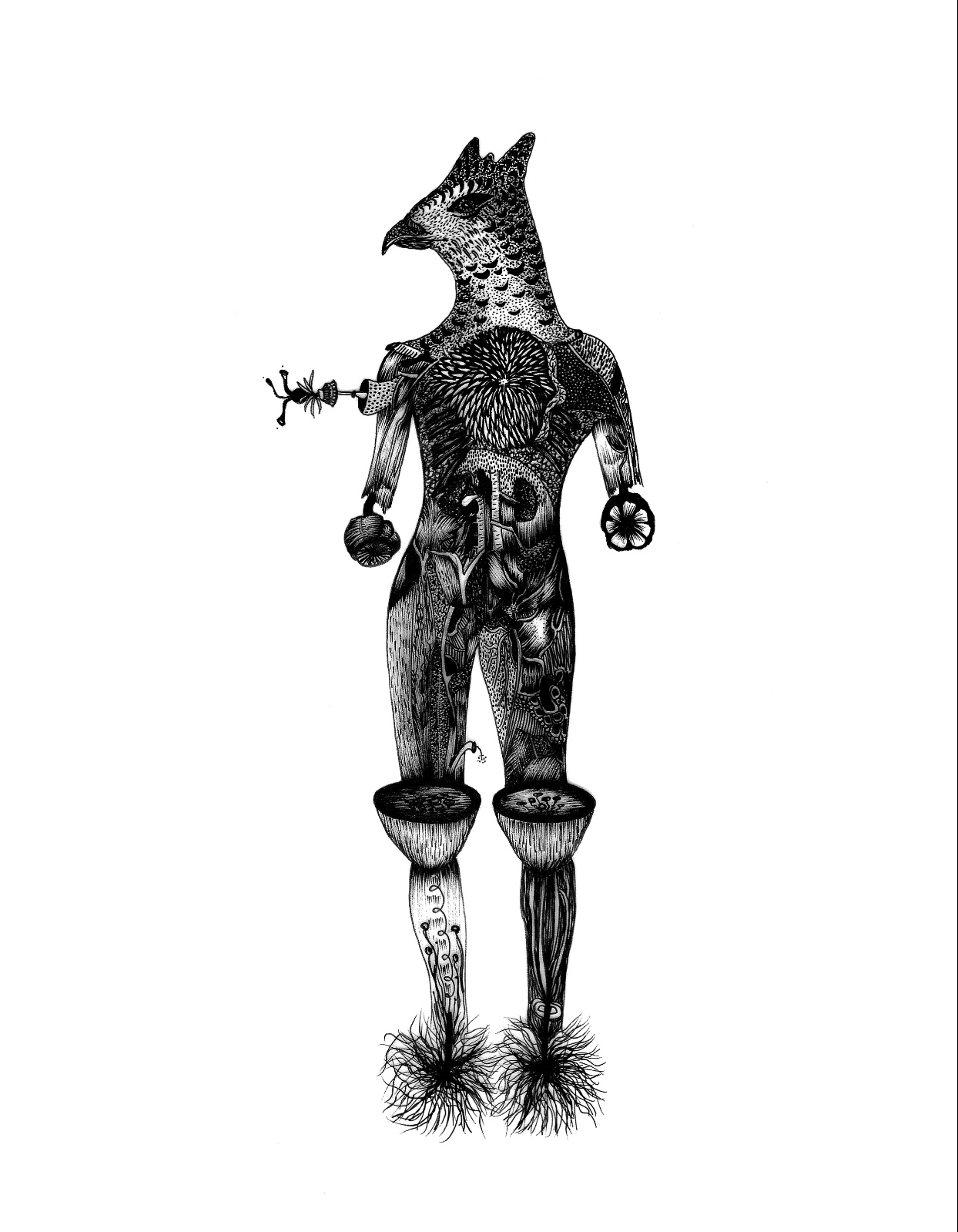 Anatomía 1