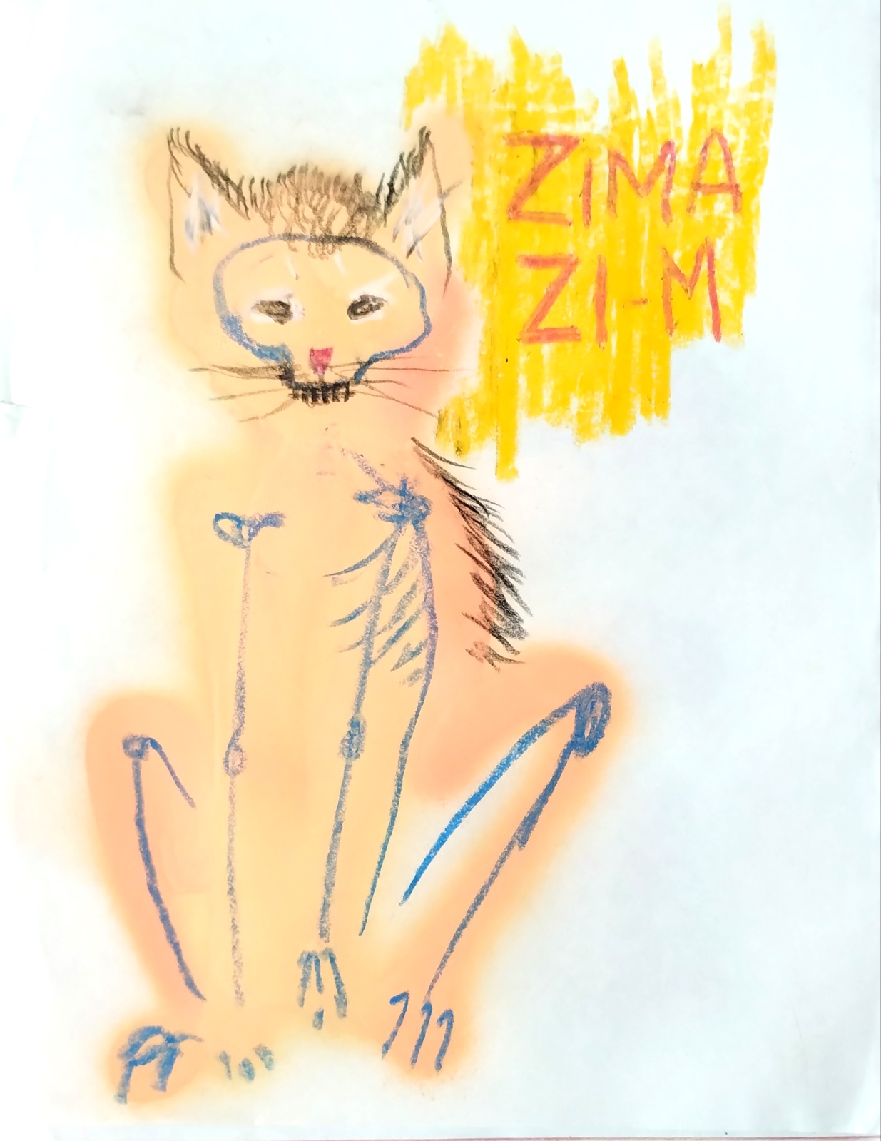 ZIMA: Anatomía de lo incesante